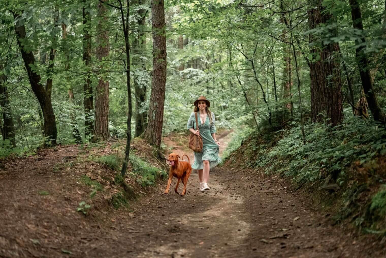 pet friendly trails near the henry skokie il apartments