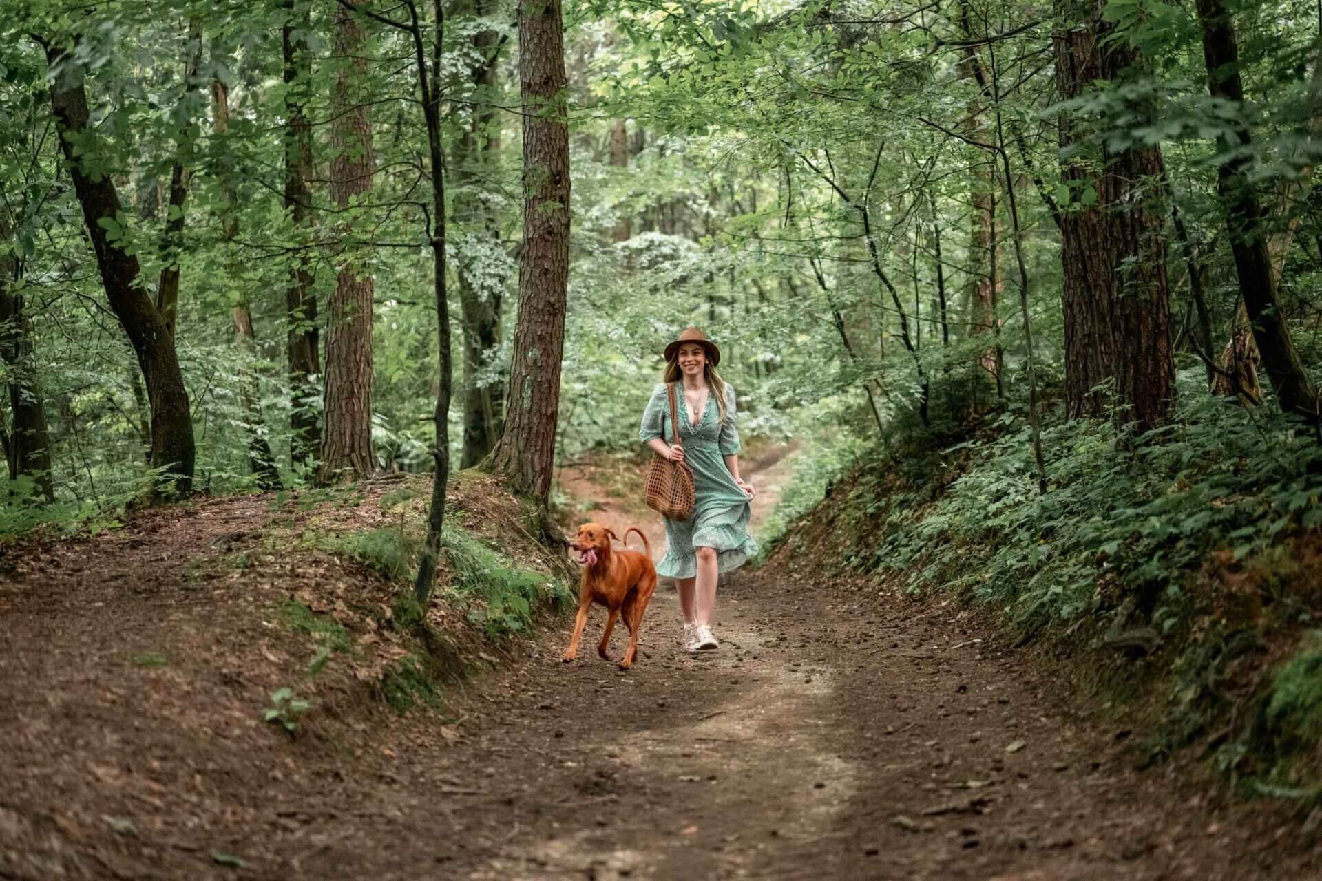 pet friendly trails near the henry skokie il apartments