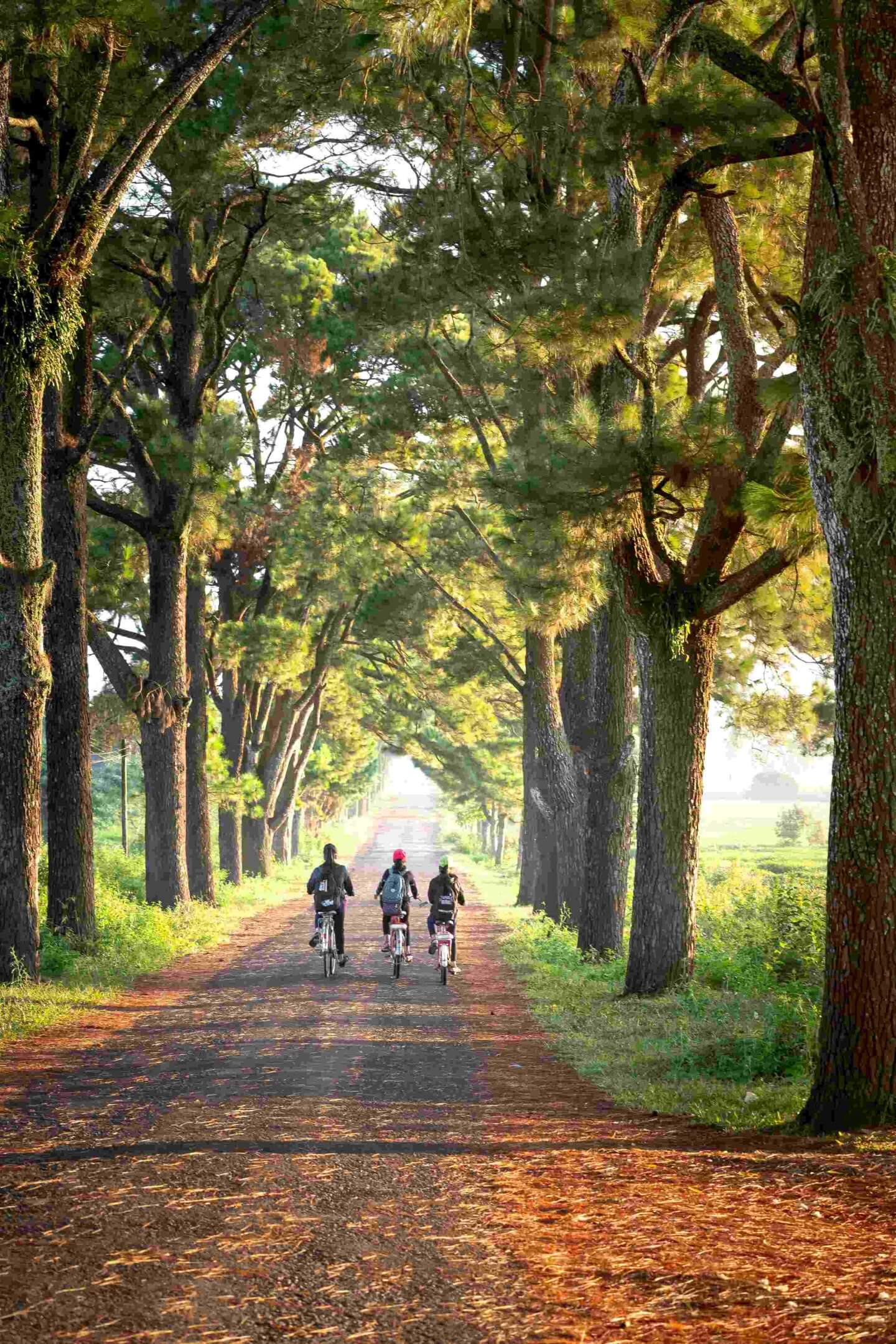 trails near the henry skokie il apartment at harms woods